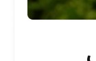 خليل الشيخ يفكك 'سردية محمود درويش الشعرية' في كتاب نقدي جديد